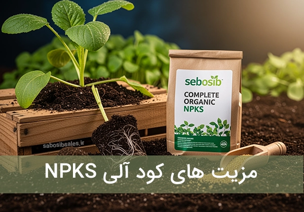کود آلی NPKS سبوسیب