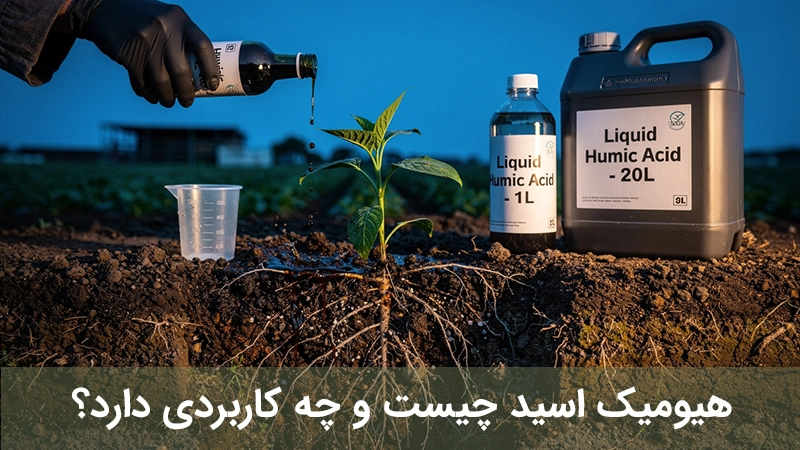 هیومیک اسید چیست و کاربرد آن چیست؟