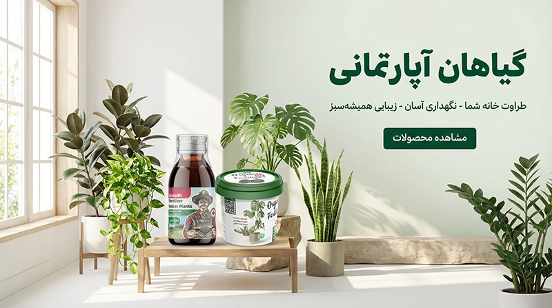 تقویت گیاهان آپارتمانی